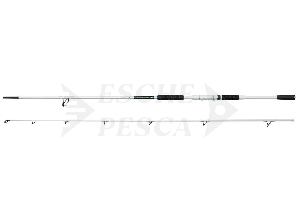 teramar spinning rod