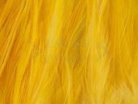 Rooster Saddle Feather - Banana Yellow