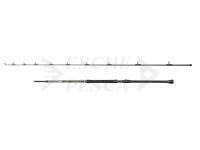 Penn Regiment IV Boat Braid Rod