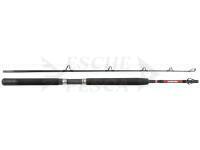 Canna Penn Warfare Boat 1.80m M 50lb 2Sec Conv