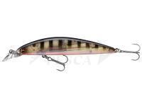 Esche Daiwa Tournament Current Master 93F-SR | 9.3cm 12g - pearl ghost perch