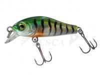 Esca Jenzi T-Rex Wobbler Minnow Trout 35SR 35mm 2g - C