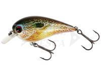 Westin BassBite Squarebill BassBite 1.5 | 6cm 13g - Real Pumpkinseed