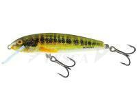 Minnow M5F  HRM