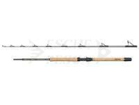 Canna Regiment IV Pro Boat 2.10m F 20-30lb 2Sec Conv