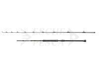 Canna Penn Regiment IV Boat Braid 2.49m F 20-30lb 2Sec Conv