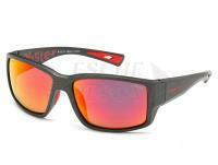 Polarised Sunglasses Solano FL 20064C