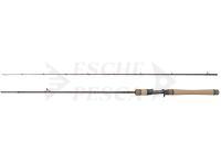 Canna Casting Dragon Flash XC40P LT Cast 21 Fast 1.98m 5-21g