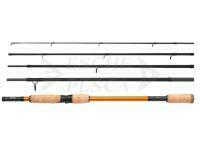 Canna Shimano STC AX Spinning 2.70m 10-30g