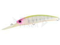 Hard Lure DUO Realis Fangbait 100DR | 100mm 17.5g | 3-7/8in 5/8oz - BCC3385