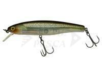 Esche Illex Arnaud 100 F | 10cm 16g - HS Ghost Minnow