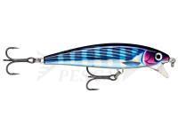 Lure Rapala X-Rap Magnum Cast 10cm 42g - HDBTO HD Bonito