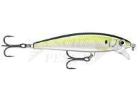 Lure Rapala X-Rap Magnum Cast 10cm 42g - PLD Pilchard