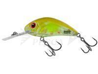 Esche Salmo Hornet Rattlin H3.5 - Clear Ayu