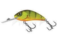 Esche Salmo Hornet Rattlin H5.5 - Hot Perch