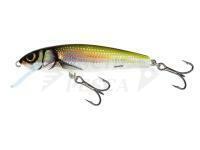 Esche Salmo Minnow M7S - Holo Bleak