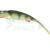 Qubi Lures Syrena ONYX Vert 20cm