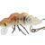 Microbait Esche Hornet